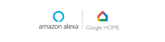 Asistentes virtuales Amazon y Google